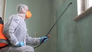 Best Biohazard Mold Removal  in Timmonsville, SC