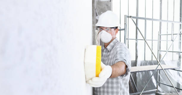 Best Industrial Mold Remediation  in Timmonsville, SC