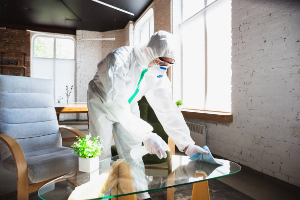 Best Mold Remediation for Healthcare Facilities  in Timmonsville, SC