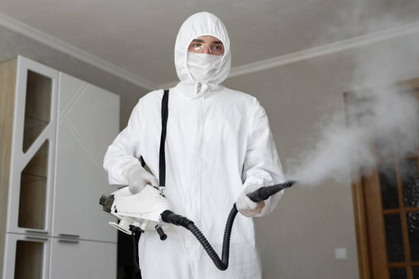 Best Mold Odor Removal Services  in Timmonsville, SC